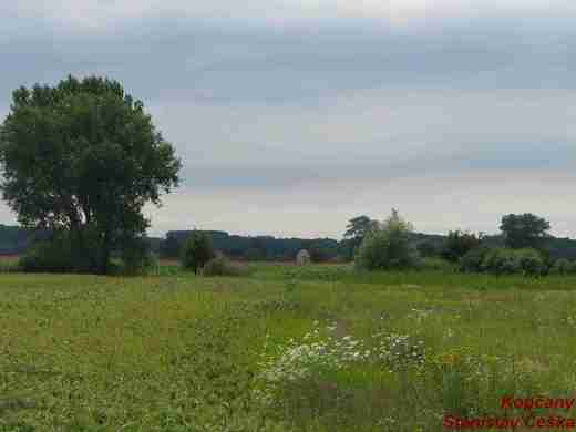 Kopčany